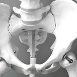 Recupero attivo: i benefici che accelerano i tuoi progressi (senza fermarti)
